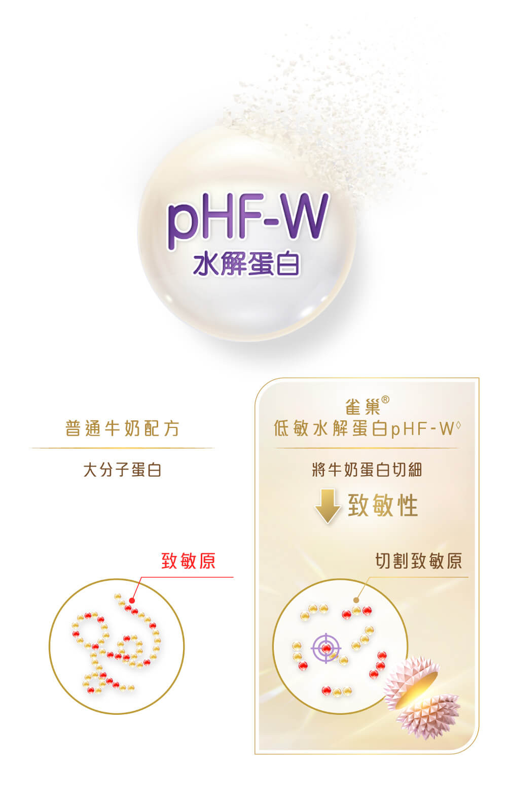 雀巢®能恩全護®INFINIPRO®配方奶粉內的低敏水解蛋白pHF-W 經雀巢®獨特水解技術將牛奶蛋白切細,精準切割致敏原,降低致敏性