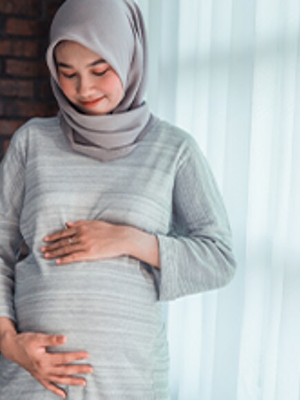 ovulation calendar ovulation calendar